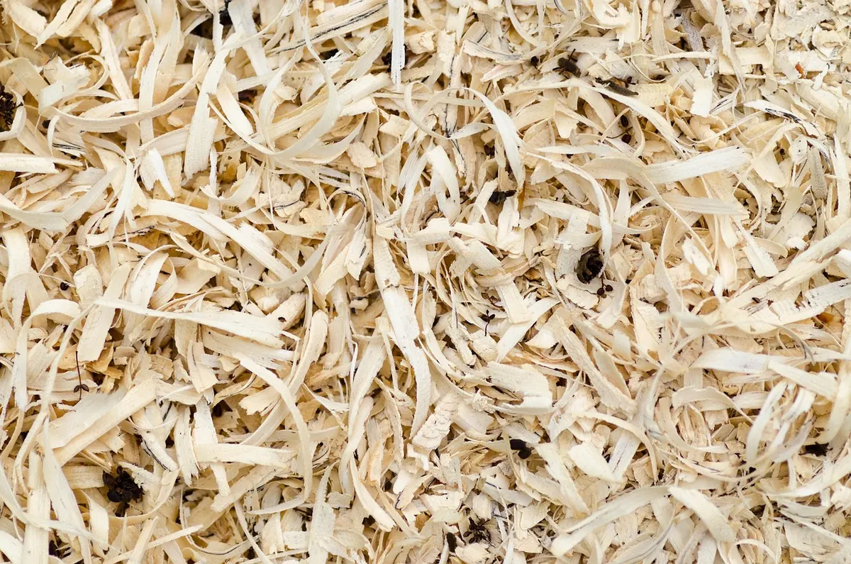 10 Common Mistakes When Whittling Green Wood (and How to Fix Them)