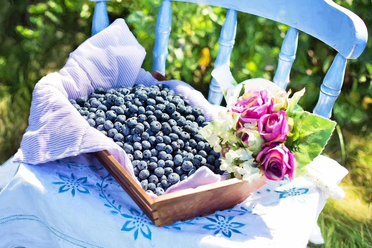 Foraging Checklist: What to Take on a UK Hedgerow Foray